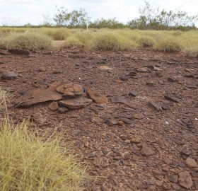 Canning Basin landscape