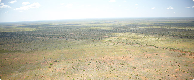 Potential Duchess Paradise Project area situated on a pastoral station. December, 2010
